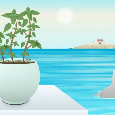 basil on the seaside